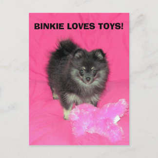 ビンキーはおもちゃが大好き！ ポストカード