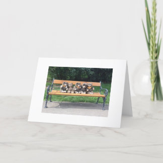 ビンゴくまの挨拶状 カード