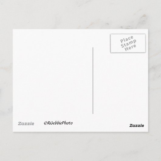 ビンゴ!振れ! ポストカード (裏面)