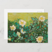 ビンセントヴァンゴッホワイルドバラファインアート ポストカード (正面/裏面)
