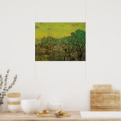 ビンセント・ファン・ゴッホのピッキング姿付きオリーブ・グローブ ポスター (キッチン)