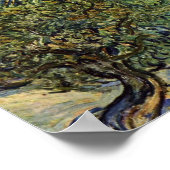 ビンセント・ヴァン・ゴッホによるオリーブの木の風景 ポスター (角)