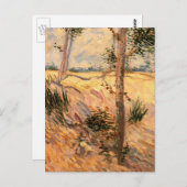 ビンセント・ヴァン・ゴッホによる晴れの日のフィールドの木 ポストカード (正面/裏面)