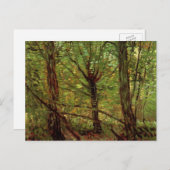 ビンセント・ヴァン・ゴッホによる樹木と低成長 ポストカード (正面/裏面)