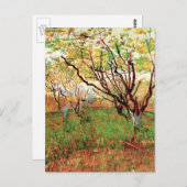 ビンセント・ヴァン・ゴッホの花の果樹園 ポストカード (正面/裏面)