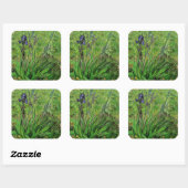 ビンセント・ヴァン・ゴッホ – アイリス スクエアシール (シート)