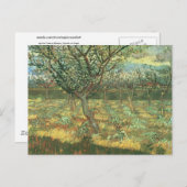 ビンセント・ヴァン・ゴッホ・アプリコットの木 ポストカード (正面/裏面)
