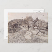 ビンセント・ヴァン・ゴッホ |オリーブの木 ポストカード (正面/裏面)