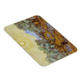 ビンセント・ヴァン・ゴッホ |オリーブの木， 1889 マグネット (右側)