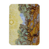 ビンセント・ヴァン・ゴッホ |オリーブの木， 1889 マグネット (縦)