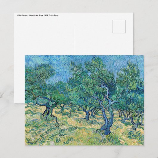 ビンセント・ヴァン・ゴッホ – オリーブグローブ ポストカード (正面/裏面)