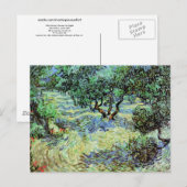 ビンセント・ヴァン・ゴッホ・オリーブ・グローブ ポストカード (正面/裏面)