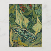ビンセント・ヴァン・ゴッホ – ジャイアントピーコックモス ポストカード (正面)