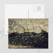 ビンセント・ヴァン・ゴッホ |セオ・ヴァン・ゴッホ・ヴィンセント・グレーブズ ポストカード (正面/裏面)