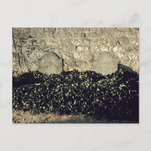 ビンセント・ヴァン・ゴッホ |セオ・ヴァン・ゴッホ・ヴィンセント・グレーブズ ポストカード (正面)