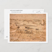 ビンセント・ヴァン・ゴッホ・ハーベスト・ランドスケープ ポストカード (正面/裏面)