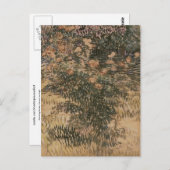 ビンセント・ヴァン・ゴッホ ポストカード (正面/裏面)