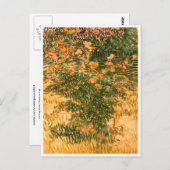 ビンセント・ヴァン・ゴッホ ポストカード (正面/裏面)