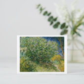 ビンセント・ヴァン・ゴッホ・リラック ポストカード (スタンド正面)