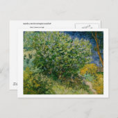 ビンセント・ヴァン・ゴッホ・リラック ポストカード (正面/裏面)