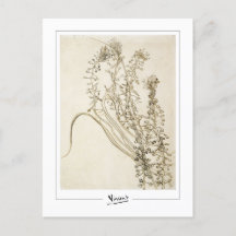 ビンセント・ヴァン・ゴッホ#356-3 -ファインアート