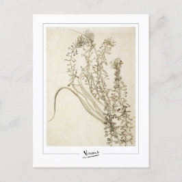 ビンセント・ヴァン・ゴッホ#356-3 -ファインアート ポストカード