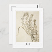 ビンセント・ヴァン・ゴッホ#356-3 -ファインアート ポストカード (正面/裏面)