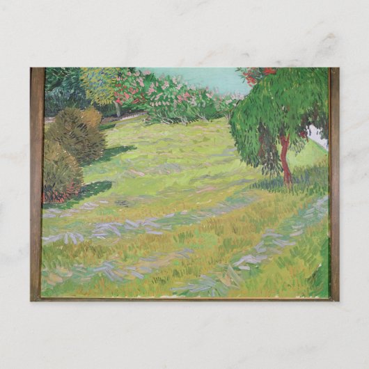 ビンセント・ヴァン・ゴッホ | Field in Sunlight, 1888 ポストカード (正面)