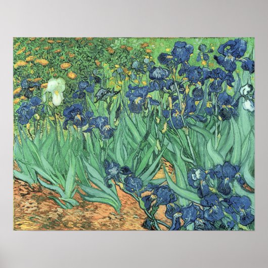 ビンセント・ヴァン・ゴッホ | Irises, 1889 ポスター (正面)