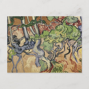 ビンセント・ヴァン・ゴッホ Tree roots, 1890 ポストカード