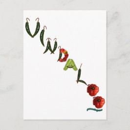 ビンダロチリペッパー ポストカード