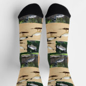 ビンチキンフォトコラージュ、クルーソックス ソックス (上部)