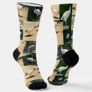 ビンチキンフォトコラージュ、クルーソックス ソックス