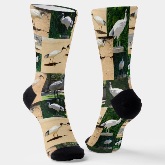 ビンチキンフォトコラージュ、クルーソックス ソックス (傾斜あり)