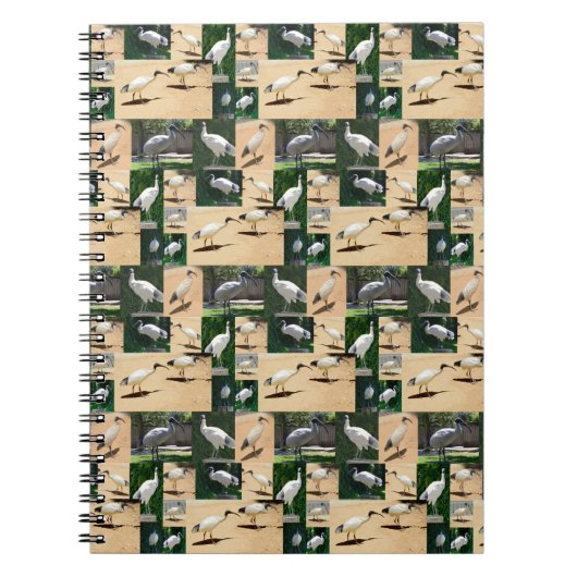 ビンチキン誌：イビスフォトコラージュ ノートブック (正面)