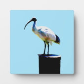 ビンチキン（イビス）油絵を描、 フォトプラーク (正面)