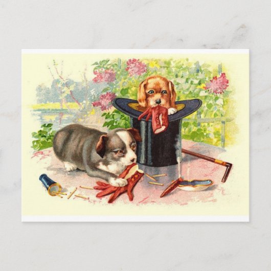 ビンテージなポストカードの2匹のかわいい子犬 ポストカード (正面)