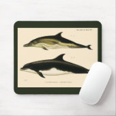 ビンテージのイルカ, 海生哺乳類の動物 マウスパッド (マウス)