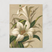 ビンテージのイースターリリー、ヴィクトリア時代の花が咲き誇る ポストカード (正面)