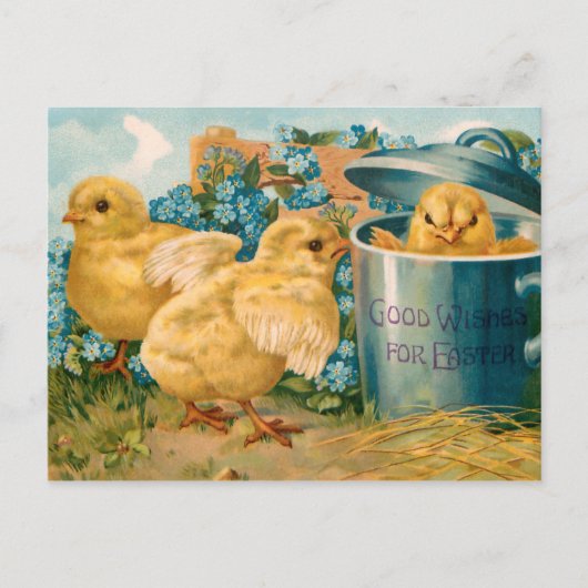ビンテージのイースター・チックスとワスレナグサ ポストカード (正面)