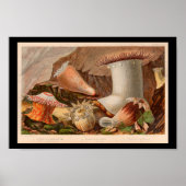 ビンテージのウメボシイソギンチャク 海洋生物 アートプリント ポスター (正面)