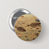 ビンテージのヒラメ、海洋生物の平らな魚 缶バッジ (正面&裏面)