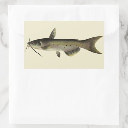 ビンテージのヘビ・ナマズ釣り、海洋生物・川の魚 長方形シール (バッグ)