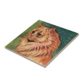 ビンテージのペット動物、長毛のオレンジ色の猫 タイル (側面)