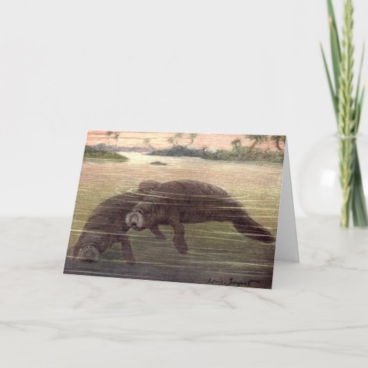 ビンテージのマナティーまたは海牛、海洋哺乳類 カード (正面)