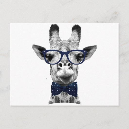 ビンテージのユーモアあふれるキリン ポストカード (正面)