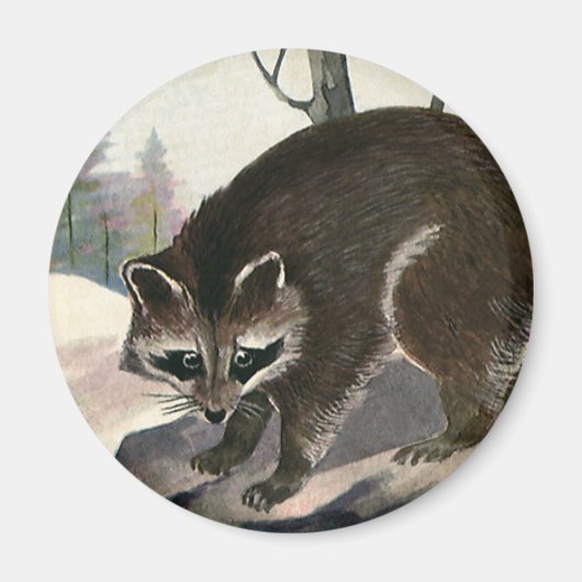 ビンテージのラクーン、野生の動物の森の生き物 マグネット (正面)