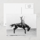 ビンテージのロデオカウガールの馬の写真 ポストカード (正面/裏面)