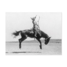 ビンテージのロデオカウガールの馬の写真