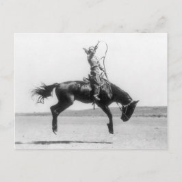 ビンテージのロデオカウガールの馬の写真 ポストカード